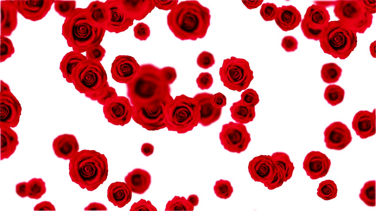 rosas vermelhas a cair.