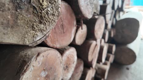 stacked wooden logs