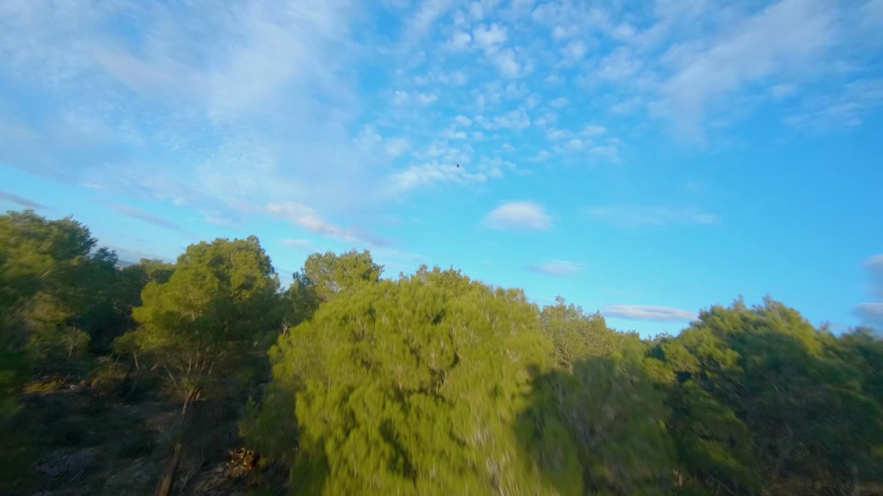 스위스 알프스 숲의 공중 fpv