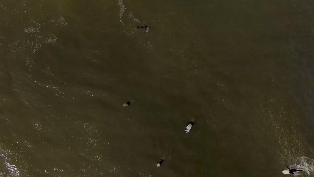 광활한 바다 표면에 떠 있는 서핑 보드에 있는 서퍼들의 공중 세로 보기