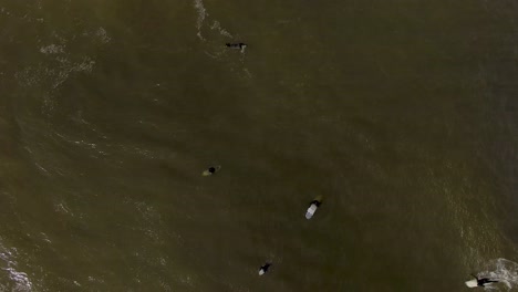 Aerial-vertical-view-of-surfers-on-their-surf-boards,-floating-on-surface-of-vast-sea