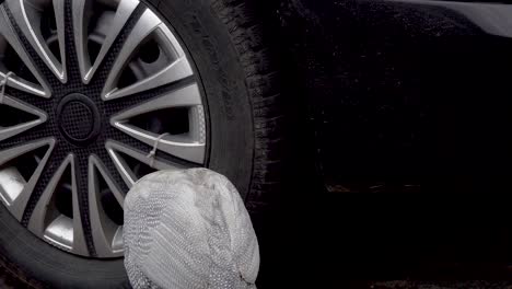 Bright-curious-guinea-fowl-goes-exploring-at-parking-lot-in-Signaghi-in-Georgia