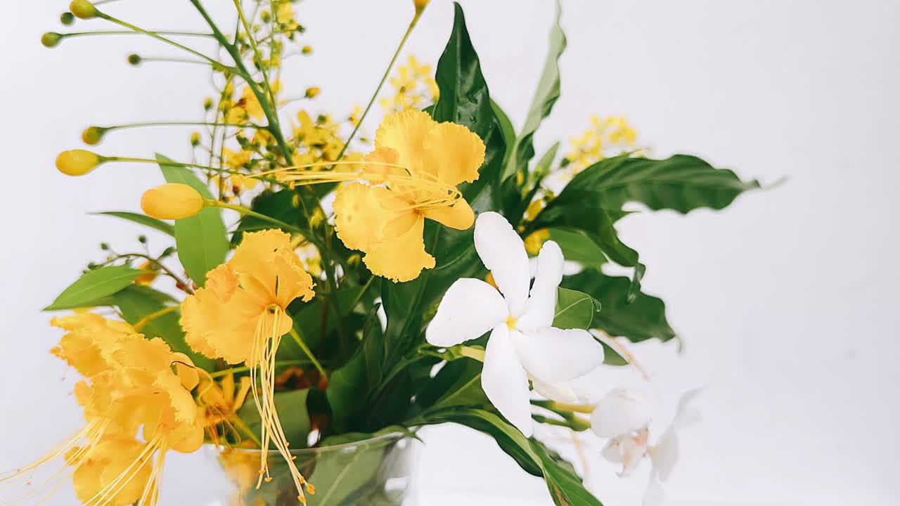 노란색과 색 꽃의 아름다운 꽃줄기