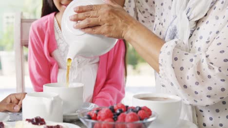 Multi-generation-family-having-having-tea-4k