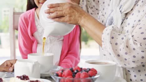 familia multigeneracional teniendo teniendo té 4k