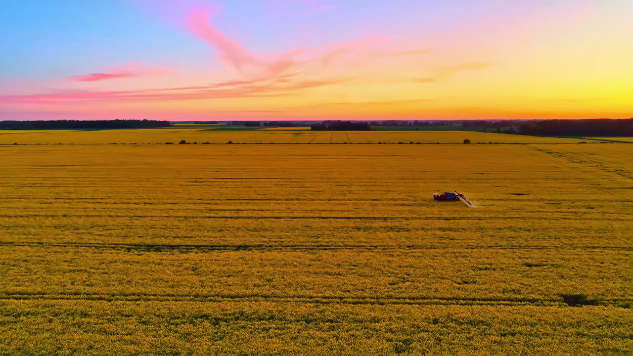 Farming machinery fertilizes rapeseed fields during sunset, aerial view