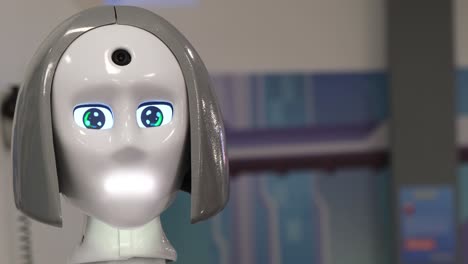 the face of a smart robot girl the face of a smart robot girl the latest modern technologies the robot blinks its eyes