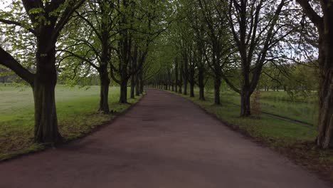 avenue-of-trees-with-empty-footpaths,-cologne,-green-belt,-germany