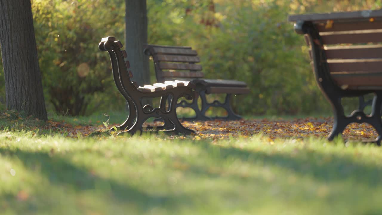 조용한 레트나 공원 벤치는 울창한 초록색과 프라하의 경치 좋은 전망 속에서 휴식을 제공합니다.