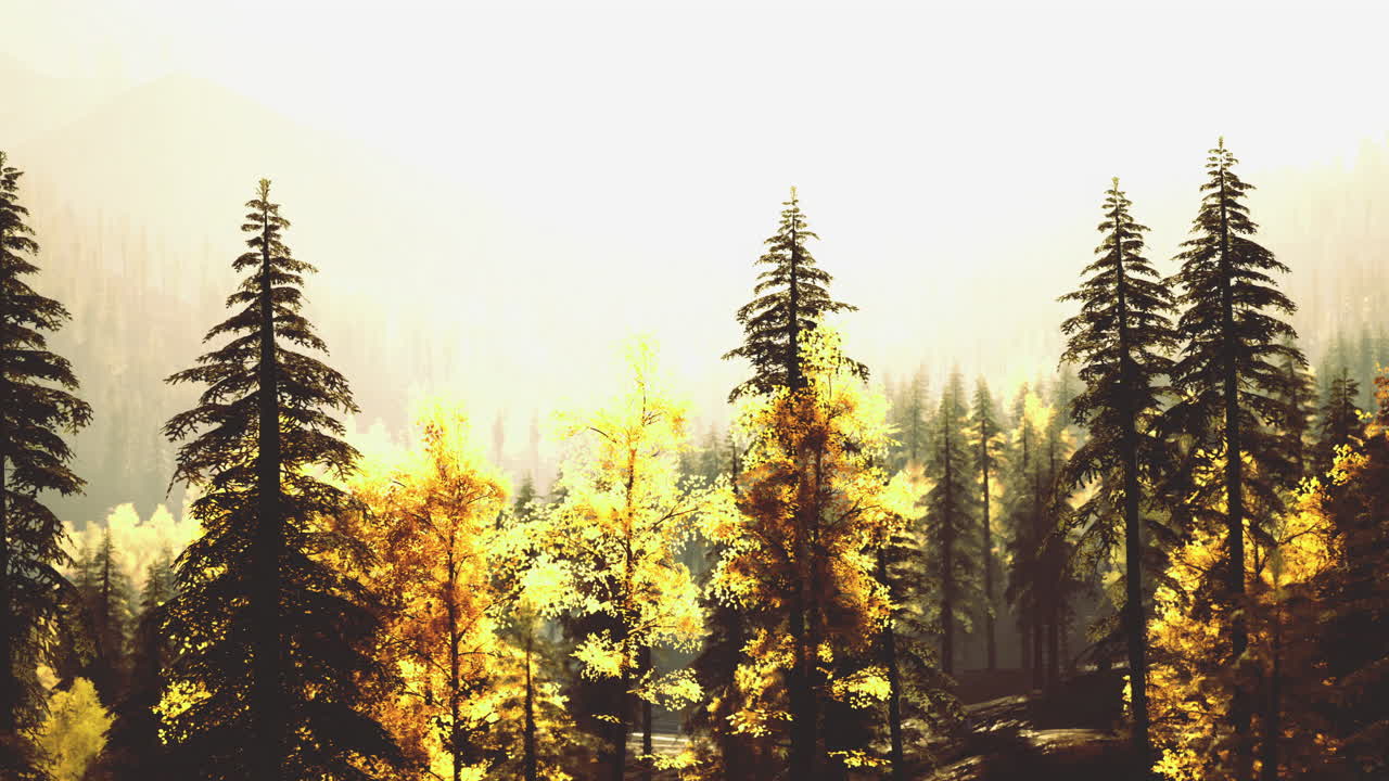 Vibrant autumn forest with golden leaves and towering trees at dawn