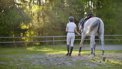 paardvrouwen met paard op de wandeling in de paardenclub. ze lopen samen in de natuur paardvrouw leidt haar paard.