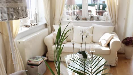 beautiful and cozy living room beautiful lit by natural window light