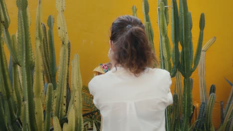 Woman photographing a friend in a cactus garden