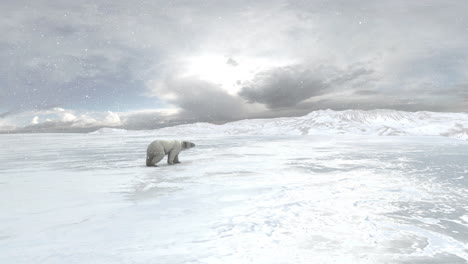 polar bear in snowy landscape