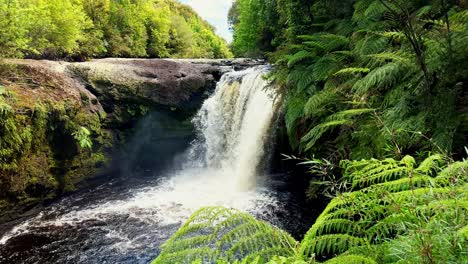 water flowing over rio bravo waterfall in tepuhueico park forest, chiloe island chile