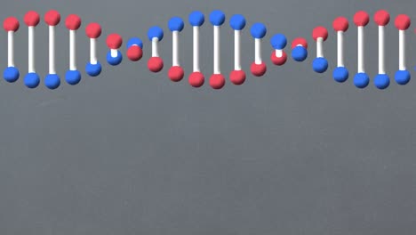 Animation-of-dna-strand-over-grey-background