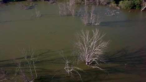 drone view of a swamp with camera movement