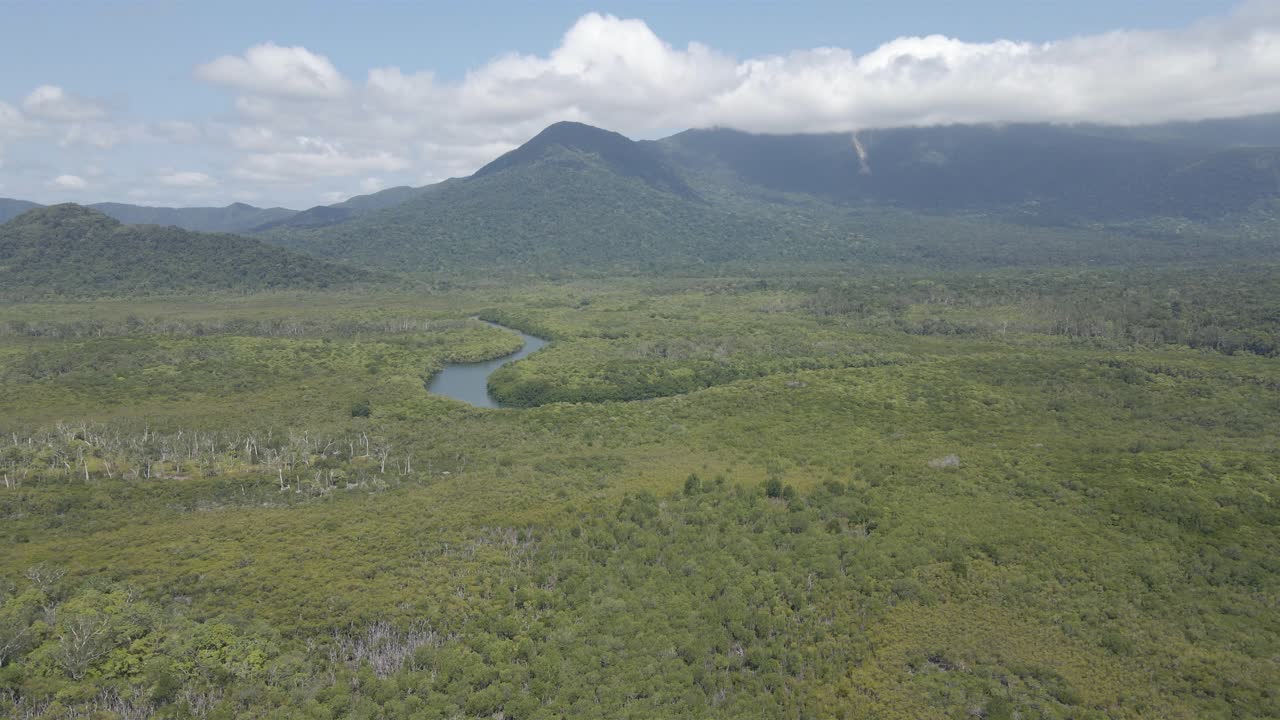 panorama de un río angosto en medio del parque nacional daintree en qld, australia