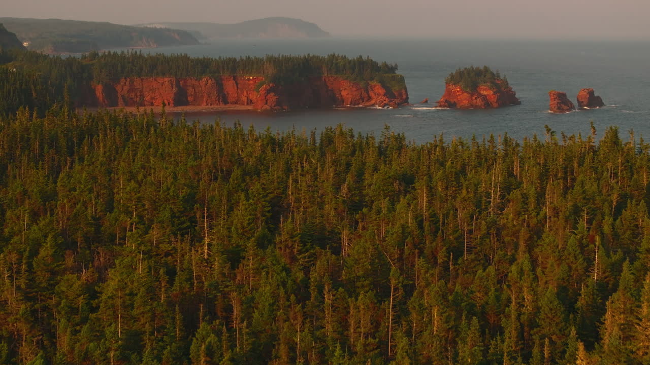 Aerial flying over trees to reveal the stunning Atlantic coastline at sunset
