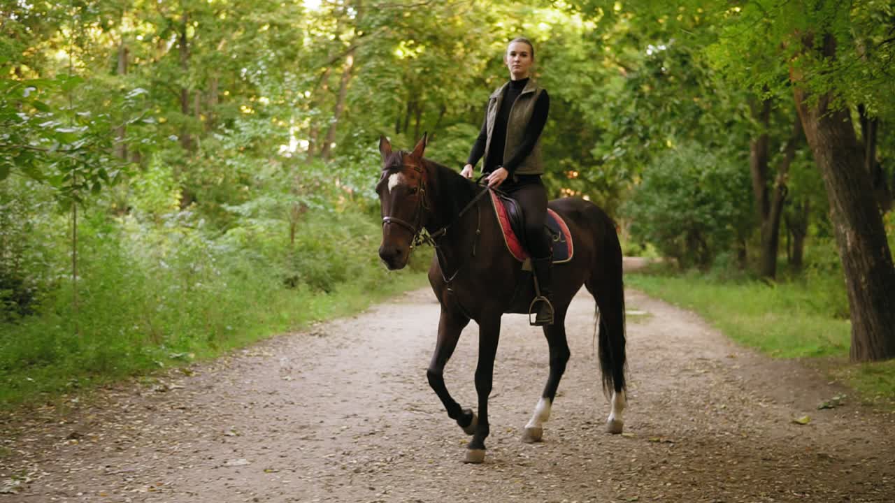 Attractive woman riding beautiful brown horse in park. Beautiful female rider sitting in saddle on stallion and walking through