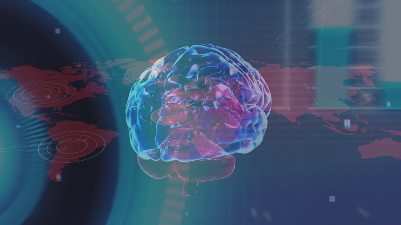 인간 뇌의 애니메이션, 세계 지도에 대한 데이터 처리