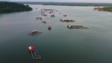 sobrevuelo aéreo de drones que captura la belleza serena de las granjas de peces flotantes tradicionales, donde las estructuras de madera con jaulas y redes aprovechan las aguas tranquilas para la próspera acuicultura