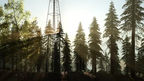típica turbina de molino de viento vieja en el bosque al atardecer