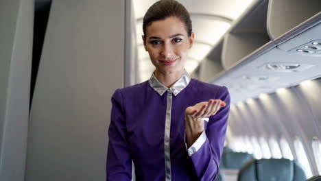 flight attendant on airplane