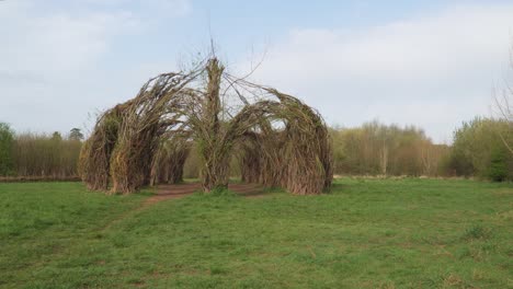 4k willow cathedral sculpture in taunton somerset with no leafs