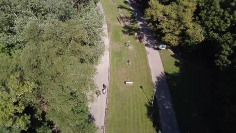 green park with outdoor gym exercise equipment in a green forest area