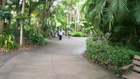 visitors walking along a path in a green park