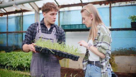 farmer discussing with agronomist over saplings