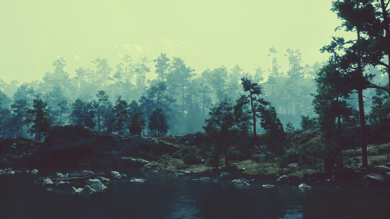 Mystisk Skogselv