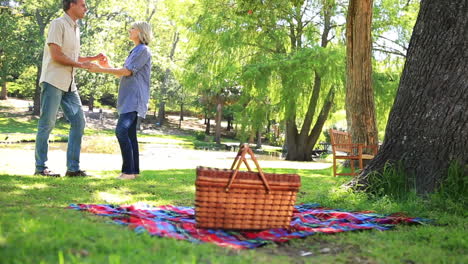 una pareja feliz haciendo un picnic en el parque