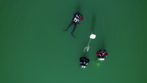 divers in a lake swim on the surface with their buoys and scuba tank