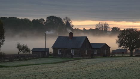 foggy morning at the farm