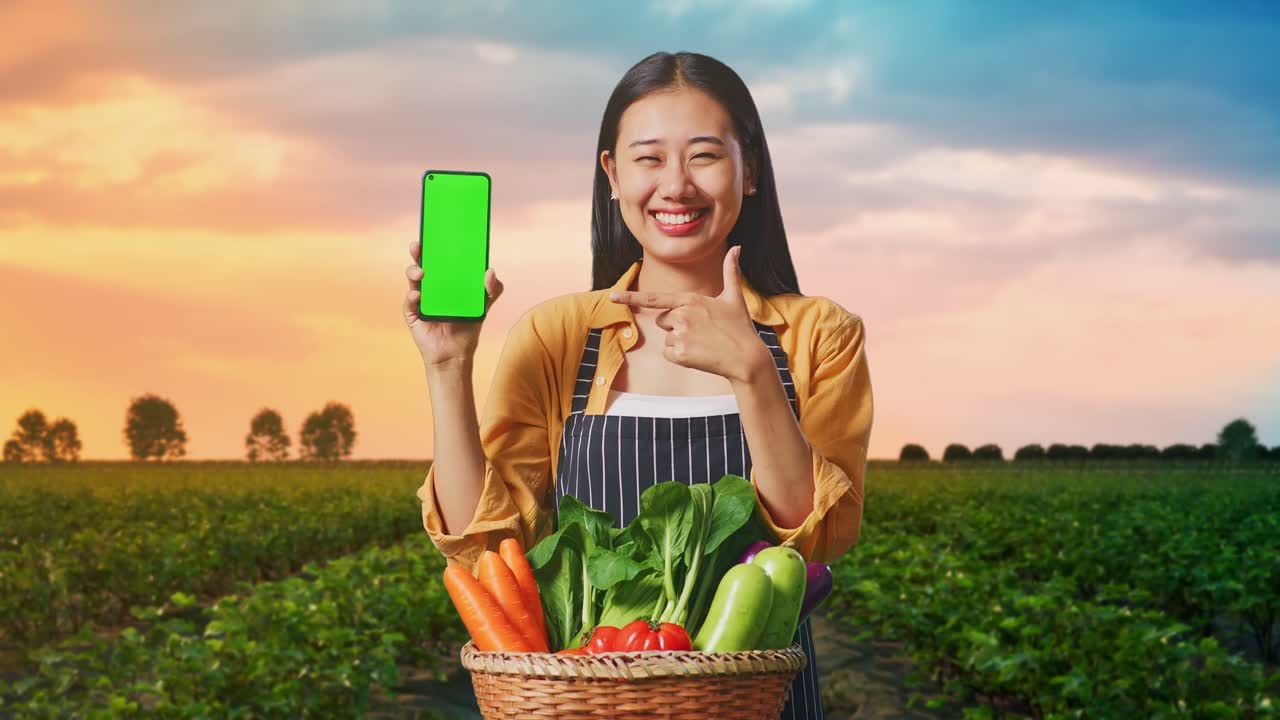 야채 바구니 를 들고 있는 아시아 여성 농부 가  에 있는 녹색 스크린 휴대 전화 를 가리키고 있다