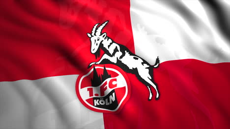 flag of 1. fc köln