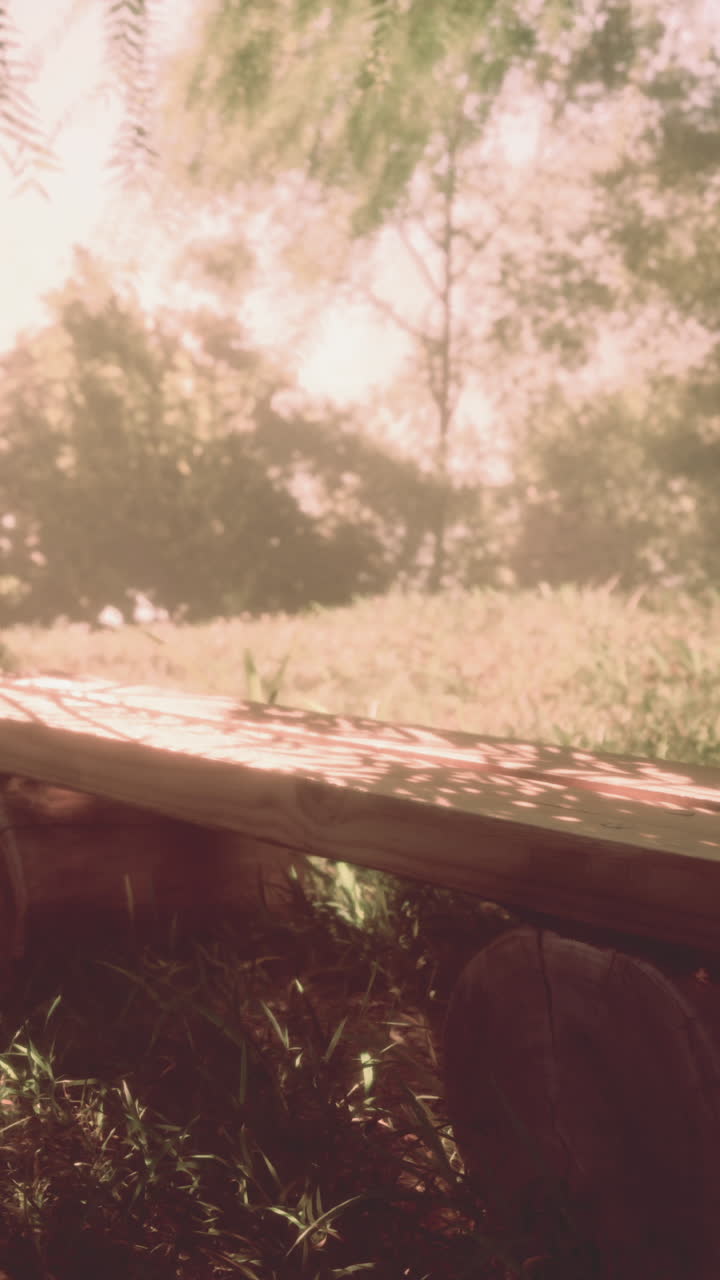 Wooden benches along empty footpath