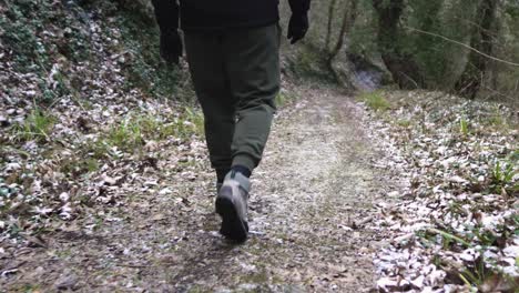 Männlicher-Wanderer,-Der-Allein-Auf-Dem-Weg-Durch-Den-Bergwald-Geht