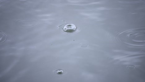 a slow motion of rain drop in the water the pond rainy day closeup