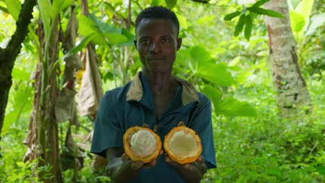 black african young farmer open a cocoa and offering it to the camera