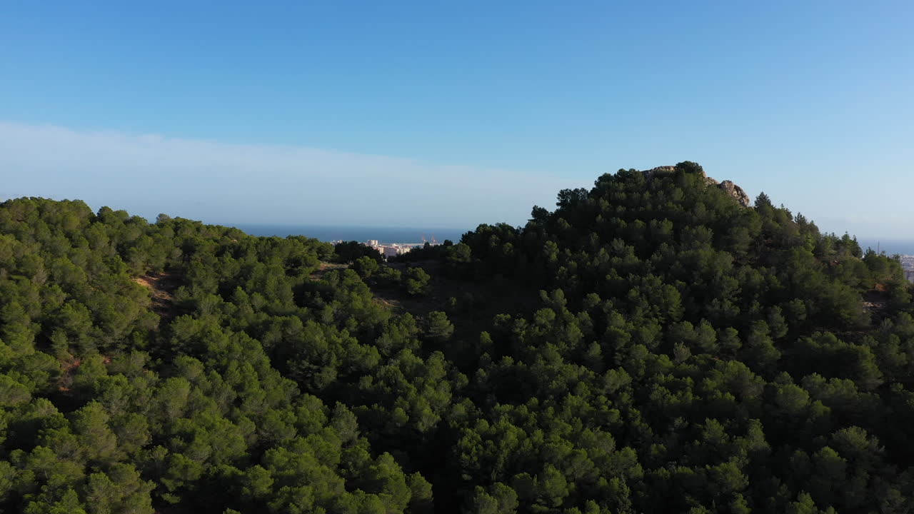 Volo aereo sopra una pineta che rivela la città di Malaga, Spagna, sotto un cielo azzurro.