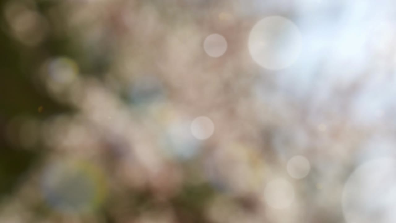 보케와 함께 추상적인 여름 배경