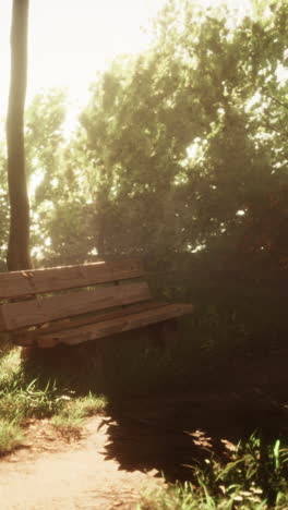 a wooden bench in a sunny forest