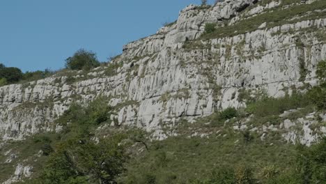 águila-Libre-Disfrutando-De-La-Naturaleza-Salvaje-Frente-A