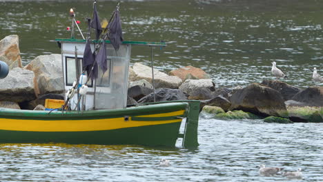 a small fishing boat is floating steadily at sea along coastal rocks, with two curious seagulls nearby