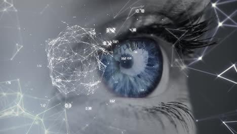 primer plano del ojo azul