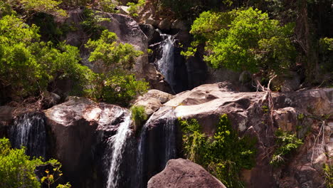 el parque nacional de nui chuan es una reserva de biosfera única en vietnam compuesta por bosque, mar y semi-desierto
