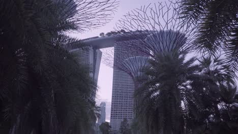 famous gardens by the bay and marina bay sands in singapore - tilt up shot